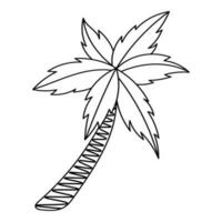 tropical noix de coco arbre. griffonnage Facile clipart. tout objets sont repeint. vecteur