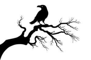 corbeau sur une branche de sec arbre silhouette. conception élément pour Halloween. vecteur illustration