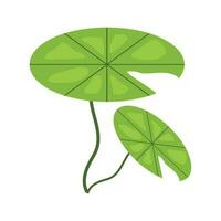 dessiner à la main alocasia Naturel vert feuille vecteur illustration