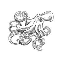 main tiré esquisser de pieuvre. vecteur aquatique monochrome illustration isolé sur blanc Contexte.
