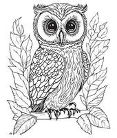 hibou coloration page. mignonne hibou coloration page pour des gamins et adultes. milieu contenu coloration page pour amazone kdp. coloration page de hibou. sauvage la vie coloration page vecteur