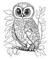 hibou coloration page. mignonne hibou coloration page pour des gamins et adultes. milieu contenu coloration page pour amazone kdp. coloration page de hibou. sauvage la vie coloration page vecteur