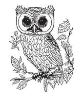 hibou coloration page. mignonne hibou coloration page pour des gamins et adultes. milieu contenu coloration page pour amazone kdp. coloration page de hibou. sauvage la vie coloration page vecteur