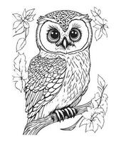 hibou coloration page. mignonne hibou coloration page pour des gamins et adultes. milieu contenu coloration page pour amazone kdp. coloration page de hibou. sauvage la vie coloration page vecteur