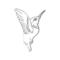 oiseau contour vecteur pour coloration livre et tatouage conception. oiseau ligne art. oiseau vecteur illustration. oiseau contour. oiseau ligne art. main tiré oiseau.