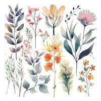 ensemble de aquarelle fleurs feuilles et brindilles sur une blanc Contexte vecteur