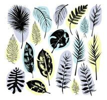 illustration ensemble de tropical les plantes et feuilles, main tiré style, contour esquisser. vecteur