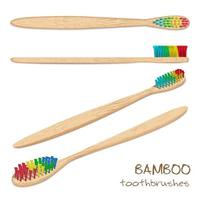 brosses à dents de couleur bambou. poils naturels. zéro déchet, matériau biodégradable. vecteur