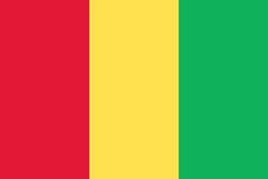 drapeau de la guinée officiellement