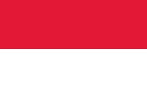 drapeau indonésien officiellement vecteur