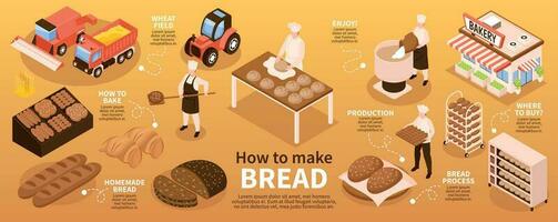 pain production infographie ensemble vecteur