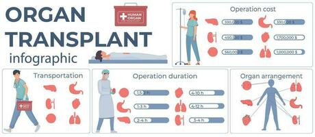 organe transplantation plat infographie vecteur