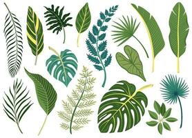 ensemble de feuilles tropicales vecteur