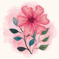 couleur rose fleur vecteur