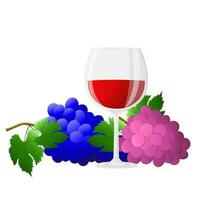 du vin verre, branches de grain de raisin avec feuilles. pour du vin liste, menu, prospectus, faire la fête, de l'alcool boissons, fête vacances. vecteur illustration