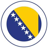 Bosnie et herzégovine drapeau. drapeau de Bosnie et herzégovine conception forme. vecteur