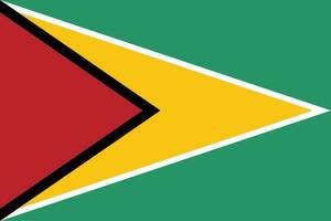 Guyane drapeau. drapeau de Guyane conception forme. vecteur