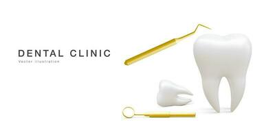 réaliste dent, dentaire sonde et dentaire miroir pour les dents isolé sur blanc Contexte. médical dentiste outil. dentisterie, soins de santé, hygiène concept. vecteur illustration