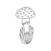 main tiré champignon dans herbe, griffonnage mignonne mouche agaric dans dessin animé style. isolé sur blanc Contexte. vecteur