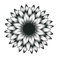 tournesol contour, tournesol ligne art, floral ligne dessin, noir et blanc tournesols vecteur illustration