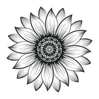 tournesol contour, tournesol ligne art, floral ligne dessin, noir et blanc tournesols vecteur illustration