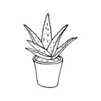 dessiné à la main aloès Vera plante dans une pot. vecteur dessin de contour aloès vera. isolé vecteur illustration de un aloès plante sur blanc Contexte