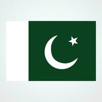 drapeau de Pakistan avec isolé pente Contexte vecteur