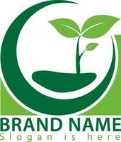 des graines logo conception agriculture champ plante et concept vecteur