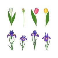 ensemble de fleurs iris et tulipes. fleurs de printemps et d'été brillantes avec des feuilles vertes. décorations et éléments de fête pour cartes, mariages, vacances et autres conceptions vecteur