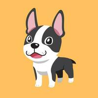 vecteur dessin animé mignonne Boston terrier chien