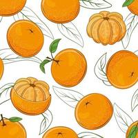 modèle sans couture de mandarines juteuses vecteur