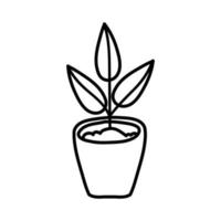 plante d'intérieur en icône de style de ligne pot en céramique vecteur