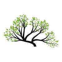 bonsaï arbre logo. Facile minimaliste silhouette conception, plante vecteur, icône illustration élément vecteur