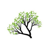 bonsaï arbre logo. Facile minimaliste silhouette conception, plante vecteur, icône illustration élément vecteur