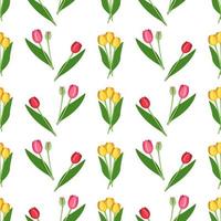 modèle sans couture avec des tulipes de fleurs de printemps de différentes couleurs. ensemble de plantes avec des bourgeons brillants et des feuilles vertes vecteur