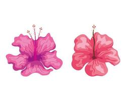 hibiscus beau, nature tropicale, botanique printemps été vecteur