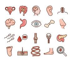 corps humain anatomie organes santé intestin oeil os nez pied sang icônes collection ligne et remplissage vecteur
