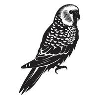 perruche silhouette, perruche mascotte logo, perruche noir et blanc animal symbole conception, oiseau icône. vecteur