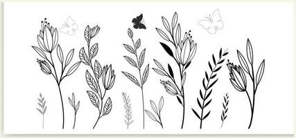 botanique abstrait ligne art, dessiné à la main bouquets de herbes, fleurs, feuilles, et branches, vecteur illustration