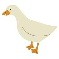 canard blanc Célibataire vecteur