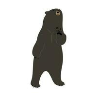 américain noir ours animal Célibataire vecteur