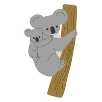 koala Célibataire mignonne vecteur