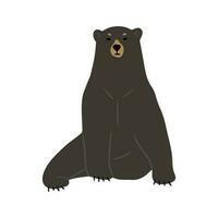 américain noir ours Célibataire marrant vecteur