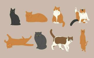 chat groupe vecteur illustration