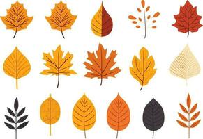 l'automne feuilles collection, ensemble de feuilles, feuilles collection vecteur