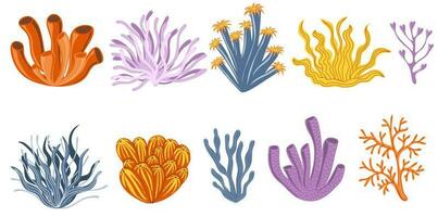 ensemble de coloré coraux et algue. botanique illustration. sous-marin flore, mer les plantes. vecteur