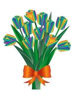 arc en ciel tulipes. bouquet de printemps fleurs lié avec rouge arc et isolé sur blanc Contexte pour vacances cartes. vecteur. vecteur