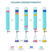 colonne chromatographie, sépare Composants basé sur adsorption et élution dans une colonne vecteur
