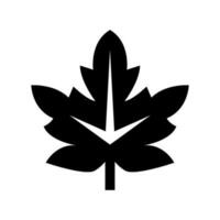 érable icône vecteur symbole conception illustration