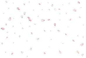 Sakura en volant pétales, romantique Contexte. vecteur